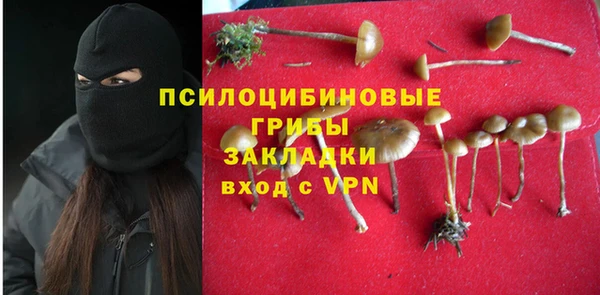 прущие грибы Балабаново