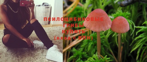 ECSTASY Белоозёрский